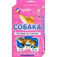 russische bücher: Штец А.А. - Собака. Читаем по слогам. Набор карточек 4 уровень