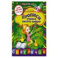 russische bücher: Соколова Е. - Прописи: учимся писать цифры: для детей от 5-ти лет