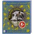 russische bücher:  - Где живет бегемот? Животные в вопросах и ответах 5+