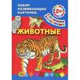 russische bücher:  - Животные. Набор развивающих карточек. 2+