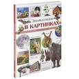 russische bücher:  - Энциклопедия в картинках