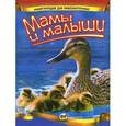 russische bücher: Цеханская А.Ф., Стрелков Д.Г, - Мамы и малыши