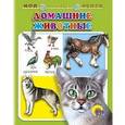 russische bücher: Нестерова О. - Домашние животные