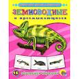 russische bücher: Розанова В. - Земноводные и пресмыкающиеся. 16 обучающих карточек