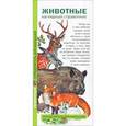 russische bücher: Шелкун Е.В. - Животные. Определитель для малышей