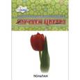 russische bücher:  - Изучаем цветы (набор из 12 карточек)