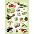 russische bücher:  - Плакат "Овощи"