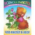 russische bücher: Кузьмин С. - Что растет в лесу (с образцами и стихами)