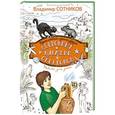 russische bücher: Владимир Сотников - Сокровище племени огневодов