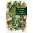 russische bücher: Веркин Э. - Кошки ходят поперек