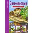 russische bücher: Голубев Е. - Земноводные