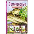 russische bücher: Голубева Е.В. - Земноводные. Школьный путеводитель
