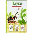 russische bücher: Голубева Е.В. - Пауки. Школьный путеводитель
