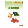 russische bücher:   - Овощи. Наглядно-дидактическое пособие. Для детей 3-7 лет