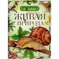 russische bücher: Вологдина Е.,Малофеева Н.и др. - Живая природа