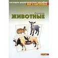 russische bücher:  - Домашние животные. Наглядно-дидактическое пособие. Для детей 3-7 лет