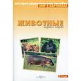 russische bücher:  - Животные жарких стран. Наглядно-дидакт.пособие