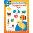 russische bücher:  - Окружающий мир. Развиваем малыша 2-3 года