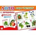 russische bücher:   - Азбука "Растения". Лото