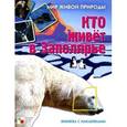 russische bücher: Краснушкина Е. - Кто живет в заполярье. Книжка с наклейками