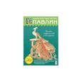 russische bücher:  - Павлин. Символ совершенства и бессмертия