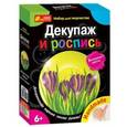 russische bücher:  - Набор для творчества "Декупаж. Весенние цветы"