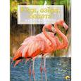 russische bücher:  - Энциклопедия. Животный мир. Реки, озера, болота