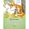russische bücher: Чаплина В. - Как лиса в лесу живет