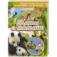 russische bücher: Редактор: А. Кочеткова - Мамы и малыши