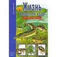 russische bücher: Афонькин С. - Жизнь в пресной воде