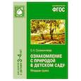 russische bücher: Соломенникова О. - Ознакомление с природой в детском саду. Младшая группа.Для занятий с детьми 3-4 лет