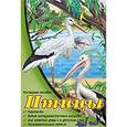 russische bücher:  - Наглядное пособие А4. Птицы