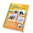 russische bücher: Нищева Н.В. - Животные жарких и северных стран,животный мир океана