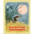 russische bücher: Павлова Н. - Мышонок заблудился