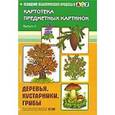 russische bücher: Нищева Н. - Картотека предметных картинок. Выпуск 2. Деревья, кустарники, грибы. Разработано в соответствии с ФГОС.