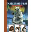 russische bücher: Махлин М.Д. - Млекопитающие. Школьный путеводитель