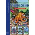 russische bücher: Афонькин С. - В морях и океанах