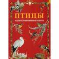 russische bücher:  - Птицы. Иллюстрированная азбука