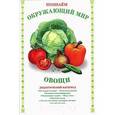 russische bücher: Васильева И. - Познаем окружающий мир. Овощи. Дидактический материал
