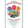 russische bücher: Куликовская Т. - Познаем окружающий мир. Садовые цветы. Дидактический материал