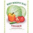 russische bücher: Куликовская Т. - Мир вокруг нас. Овощи. Дидактический материал