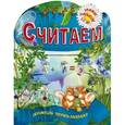 russische bücher: Рюхин Б. - Считаем. Обучающая пропись-раскраска. 2-5 лет