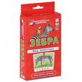 russische bücher:  - Зебра. Мир животных. Окружающий мир (набор из 48 карточек)