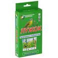 russische bücher: Гончарова Е. М. - Лужок. Природные сообщества (набор из 48 карточек)