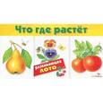 russische bücher:  - Что где растет. Развивающее лото
