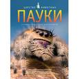 russische bücher: Джилпин Д. - Пауки. Энциклопедия для школьников