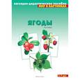russische bücher:  - Ягоды лесные. Наглядно-дидактическое пособие. Для детей 3-7 лет