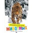 russische bücher: Уолтерс М.,Джон - Энциклопедия. Животные. От амебы до шимпанзе