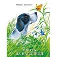 russische bücher: Пришвин М. - Охота за бабочкой