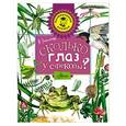 russische bücher: Танасийчук В.Н. - Сколько глаз у стрекозы?